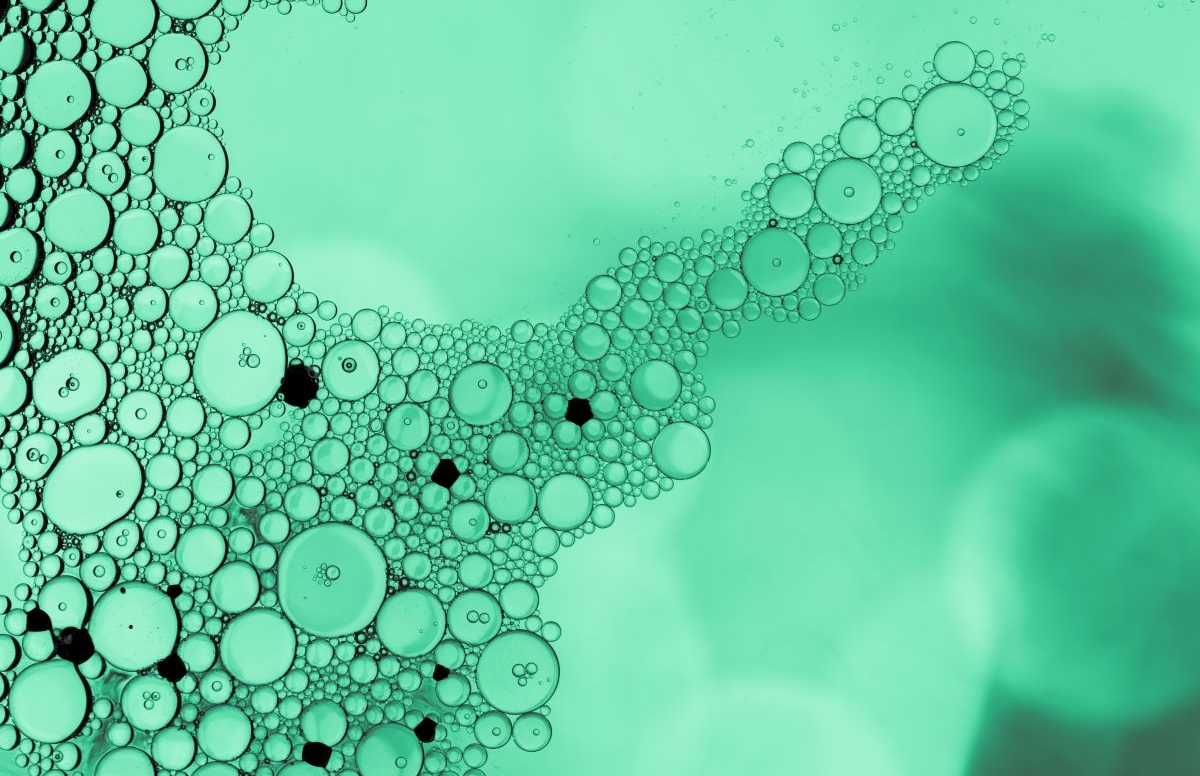 CURSO Introducción al Sistema Endocannabinoide. Uso de Cannabinoides en el Tratamiento Integral del Dolor Crónico CURSO Introducción al Sistema Endocannabinoide. Uso de Cannabinoides en el Tratamiento Integral del Dolor Crónico