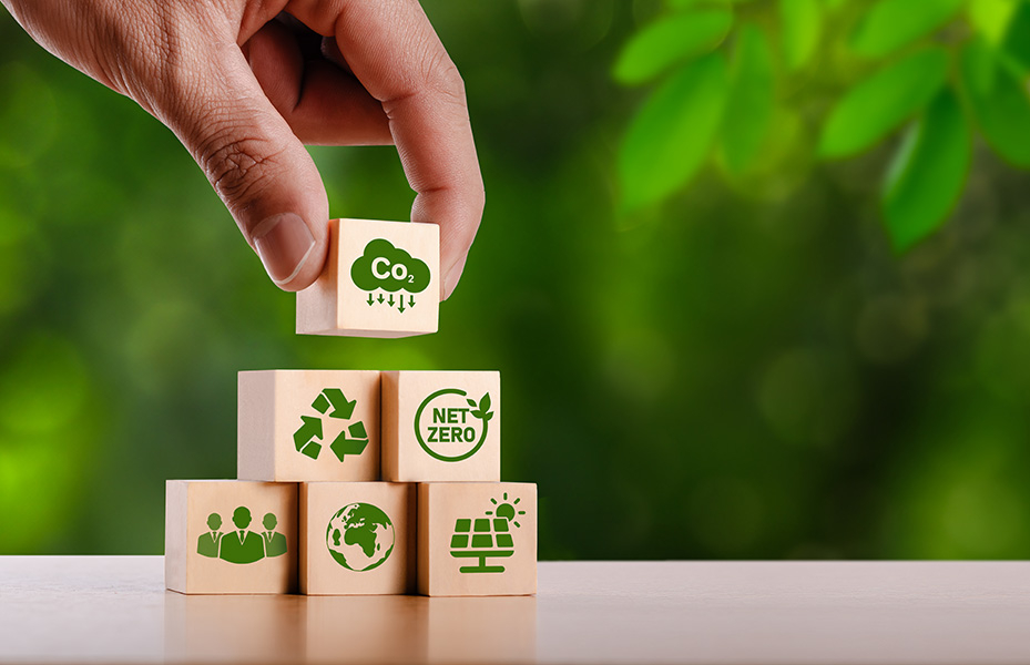 CURSO Desafíos Ambientales y Gestión Empresarial Sostenible: herramientas y buenas prácticas