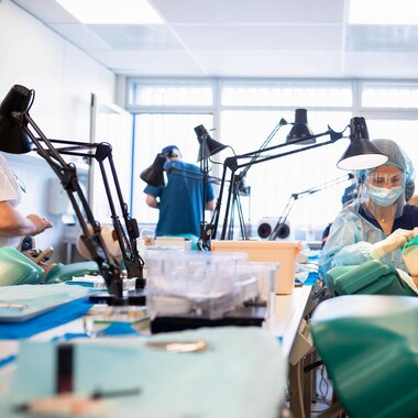 Estudiantes, Carrera, Odontología, Universidad Católica