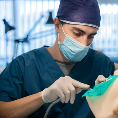 Estudiantes, Carrera, Odontología, Universidad Católica