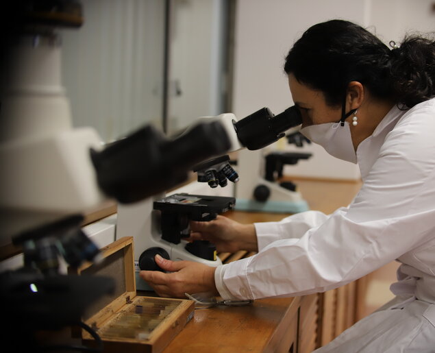 Los 69 investigadores UCU del SNI 2024