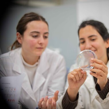 Alumnos en clase de Ecología y Geología