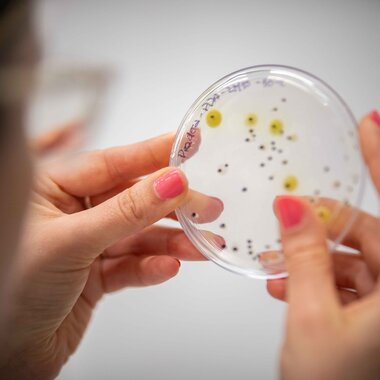 Ecología y Geología- Práctica Ingeniería Ambiental