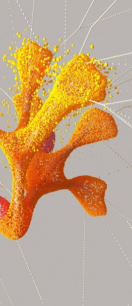 Maestría en NEUROPSICOLOGÍA DEL DESARROLLO Y APRENDIZAJE