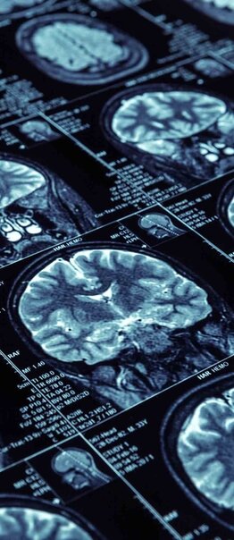 Maestría en SALUD Y PNIE - ÉNFASIS CIENCIAS DE LA SALUD O PSICOTERAPIA INTEGRATIVA
