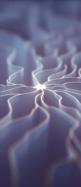 Maestría en PSICOTERAPIA - PSICOLOGÍA ANALÍTICA JUNGUIANA