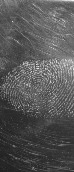 Maestría en PSICOLOGÍA FORENSE Y PENITENCIARIA