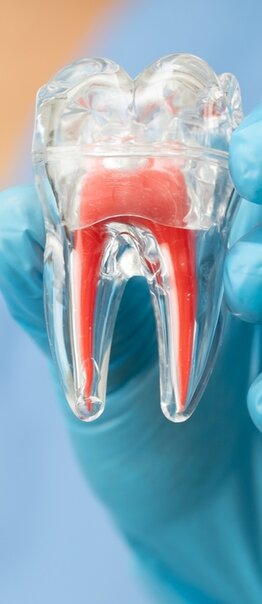 Maestría en ENDODONCIA