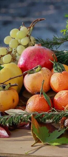 Maestría en NUTRICIÓN