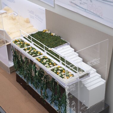 Muestra trabajos finales 2025